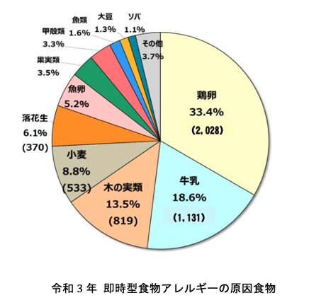 解説画像